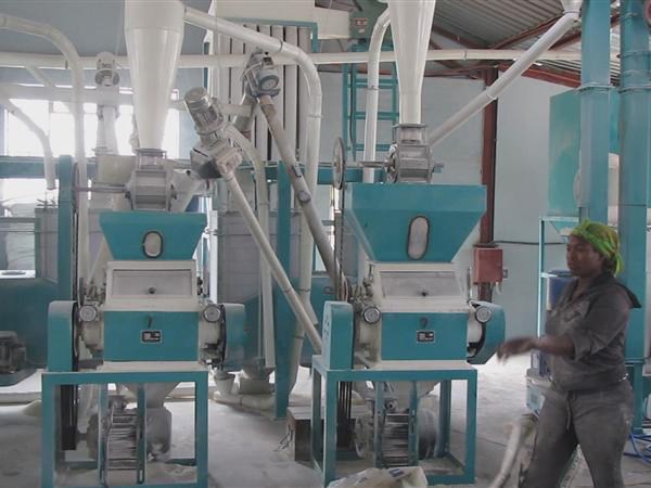 10噸級面粉加工設備